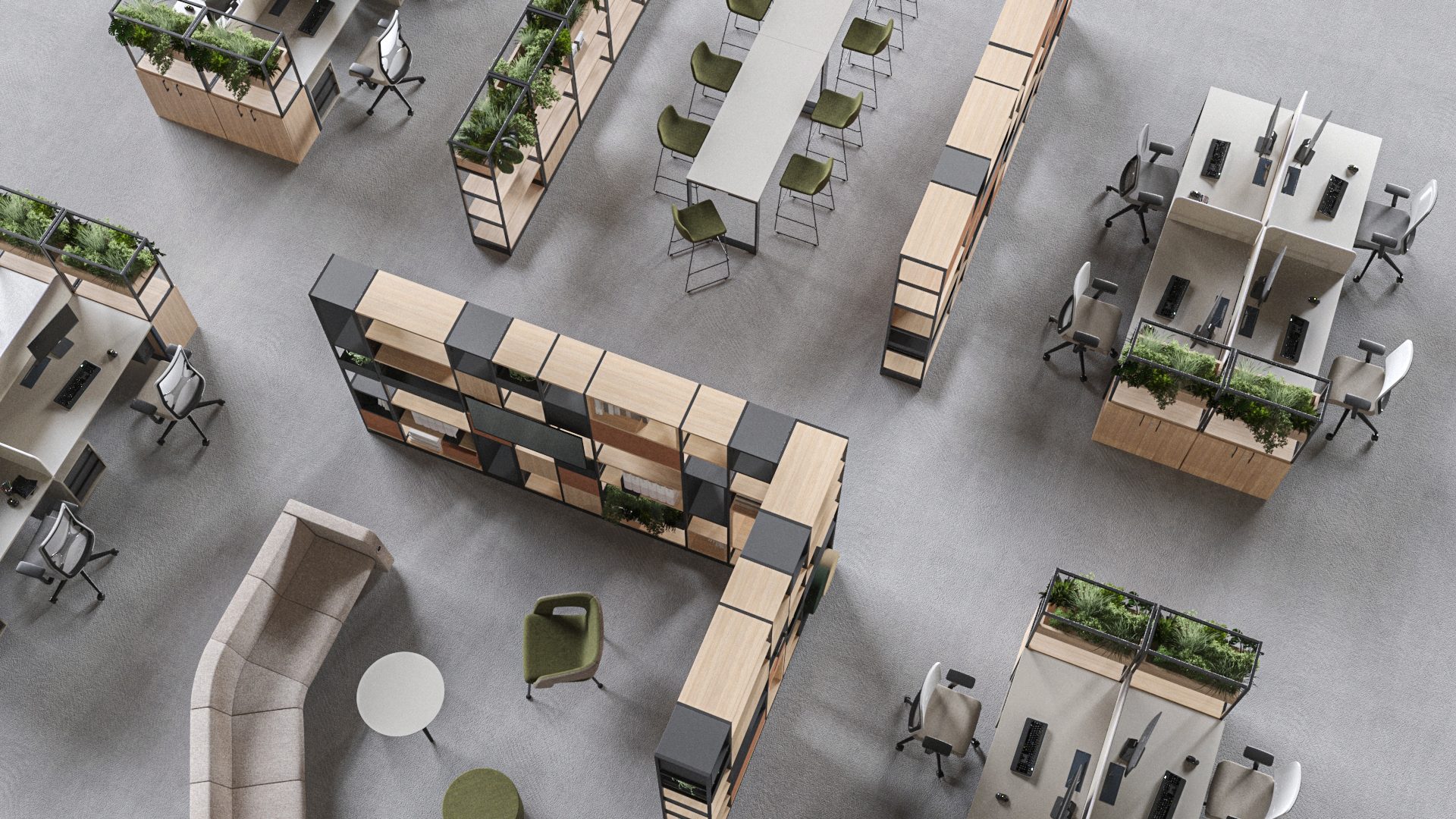 Open Plan with biophillia and plants