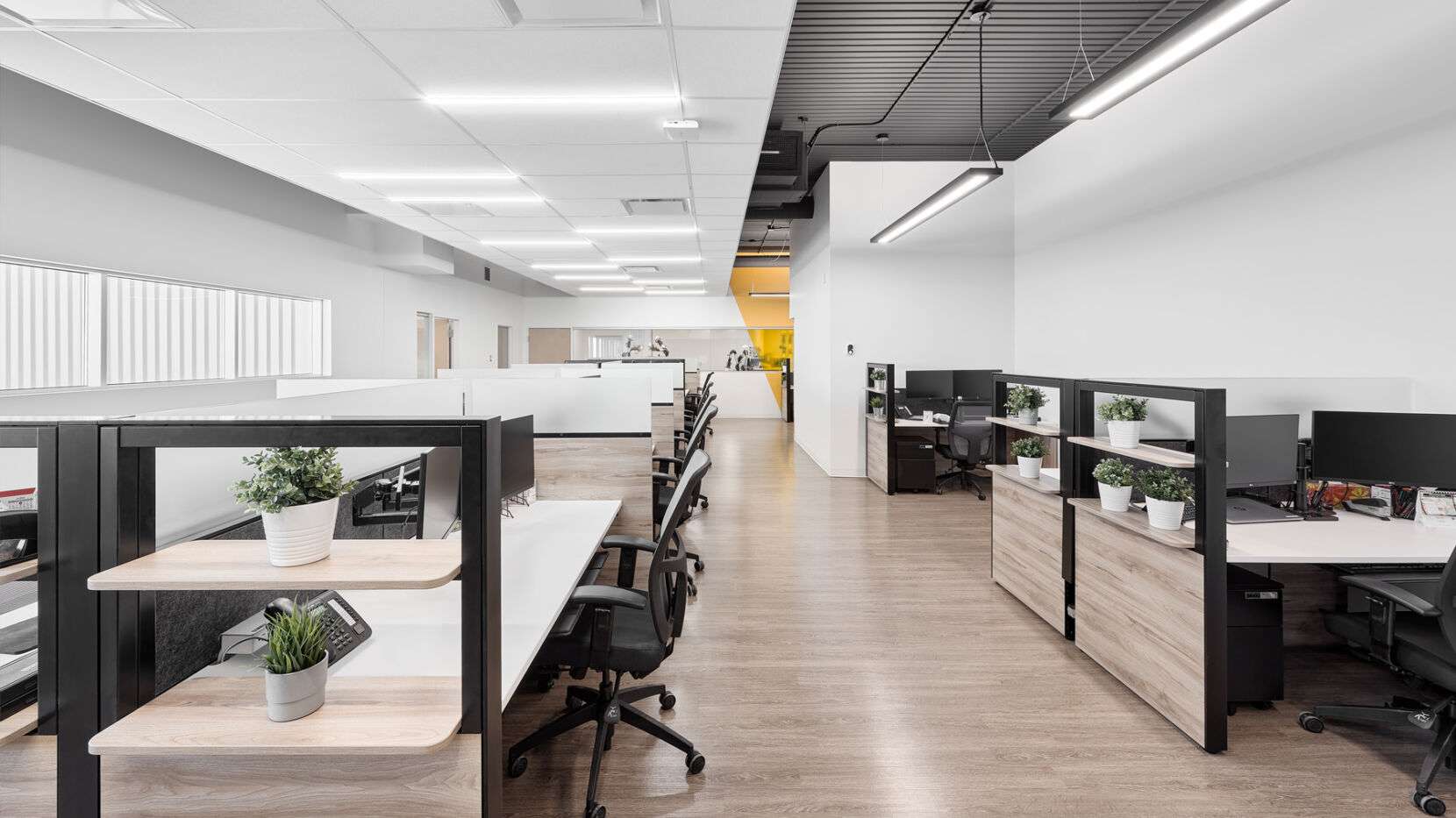 Office Furniture Open Plan Office Planter Shelves Mesh Chairs