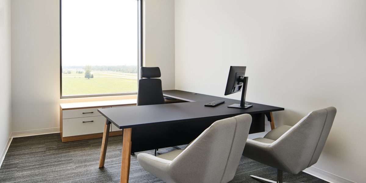 Private Office Black Surface Lounge and Task Chair